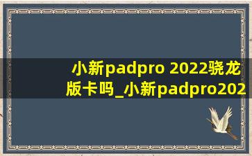 小新padpro 2022骁龙版卡吗_小新padpro2022骁龙版
